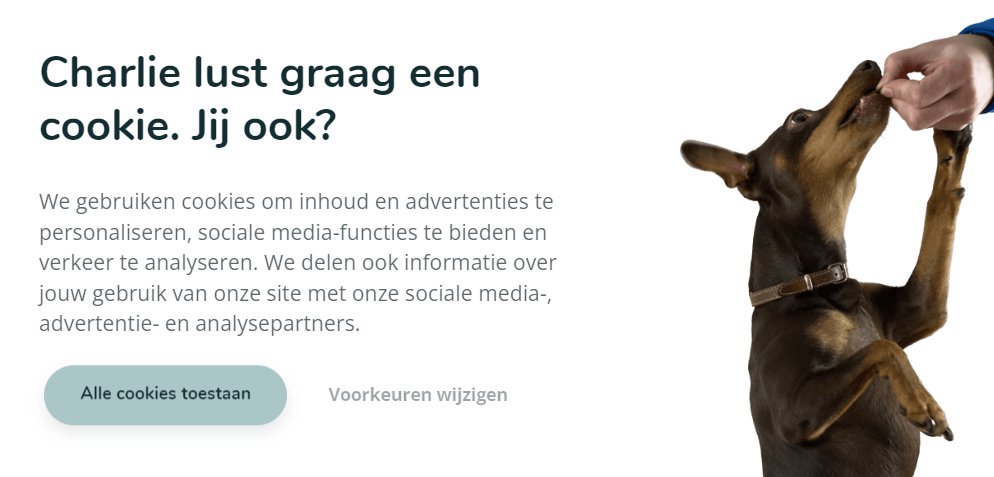 Voorbeeld leuke cookiebanner - privacy wetgeving voor website