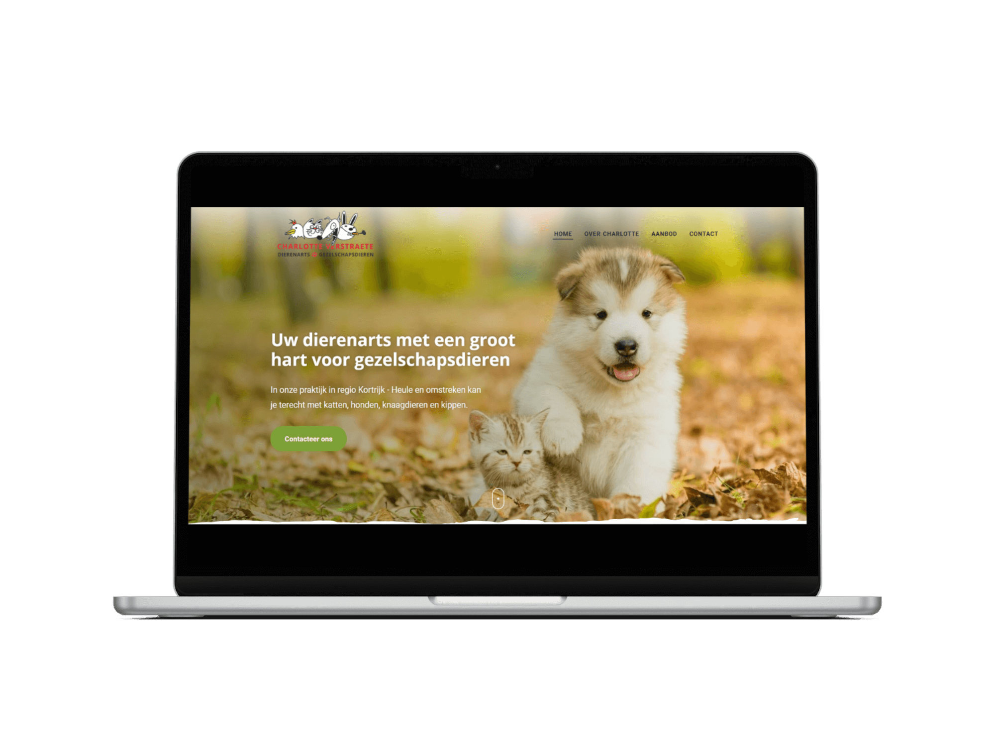 Website laten maken dierenarts Kortrijk